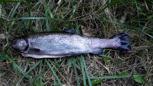 20180701_205215-1.webp 20180701_205215-1.webp