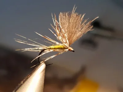 20180708_151957.webp 20180708_151957.webp