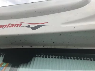 6B8B0116-FE6C-4085-96C7-4E0809C0D14A.webp 6B8B0116-FE6C-4085-96C7-4E0809C0D14A.webp