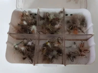 20180709_193206.webp 20180709_193206.webp