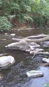 WP_20180716_19_10_06_Pro.jpg