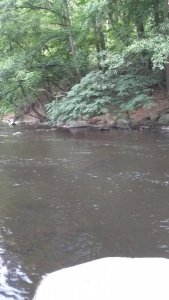 WP_20180716_19_21_55_Pro.jpg