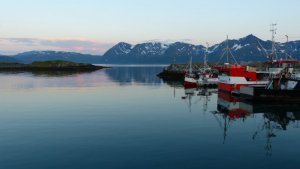 P1040448.JPG P1040448.JPG