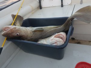 20180717_234841.jpg 20180717_234841.jpg