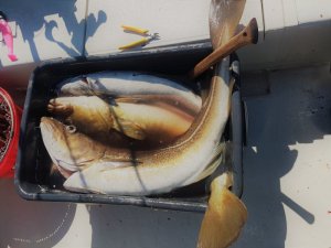 20180717_134212.jpg 20180717_134212.jpg