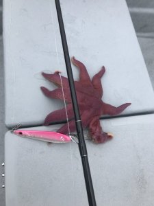 1680F618-4C4C-418E-B38C-E1C8C4814E95.jpeg