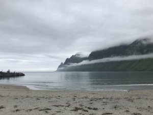 AC03E575-0867-40C8-AD78-CE3661FCA6AC.jpeg