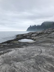 416D8C07-1174-4053-9D0F-F7774D15B699.jpeg