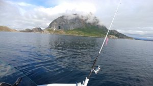 20180725_162202.jpg