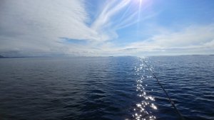 20180725_162213.jpg