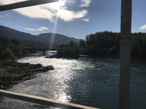 E49EECBD-38A4-46C1-B478-C4DAA0FE6E63.jpeg