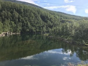 D1382126-3454-4AD7-955D-81F21B87BEBB.jpeg