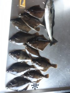 IMG-20180701-WA0023.jpg IMG-20180701-WA0023.jpg