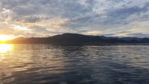 Stille.jpg Stille.jpg