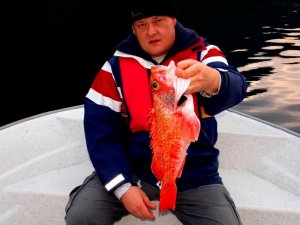 innfjorden 2018 077.JPG