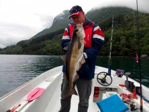 innfjorden 2018 130.JPG