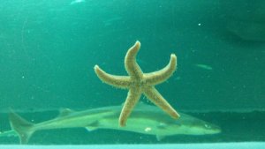 20180809_153923.jpg