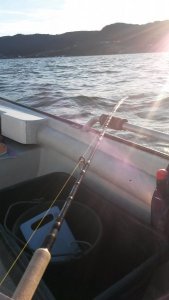 20180813_201051.jpg