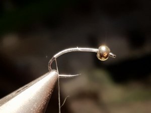 20180814_184415.jpg 20180814_184415.jpg