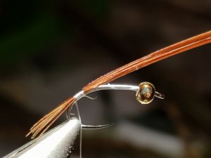 20180814_193649.jpg 20180814_193649.jpg