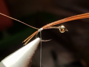 20180814_193753.jpg 20180814_193753.jpg