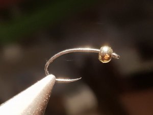 20180814_184236.jpg 20180814_184236.jpg