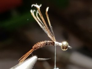 20180814_194219.jpg 20180814_194219.jpg