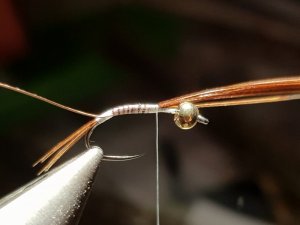 20180814_193821.jpg 20180814_193821.jpg