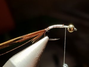 20180814_193939.jpg 20180814_193939.jpg