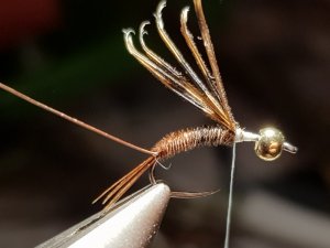 20180814_194043.jpg 20180814_194043.jpg