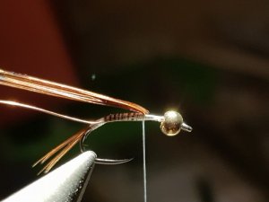 20180814_193848.jpg 20180814_193848.jpg