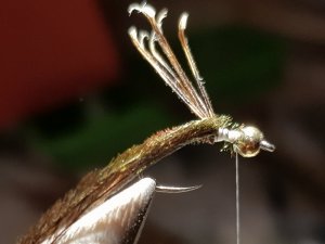 20180814_194330.jpg 20180814_194330.jpg