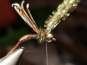 20180814_194407.jpg 20180814_194407.jpg