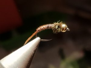 20180814_194635.jpg 20180814_194635.jpg