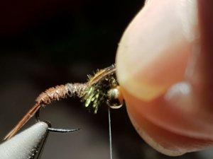 20180814_194447.jpg 20180814_194447.jpg