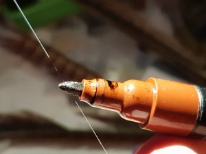 20180814_194539.jpg 20180814_194539.jpg