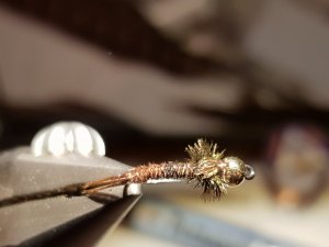 20180814_194656.jpg 20180814_194656.jpg