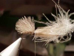 20180814_195438.jpg 20180814_195438.jpg