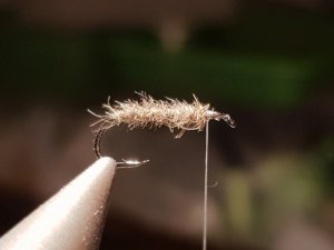 20180814_195232.jpg 20180814_195232.jpg