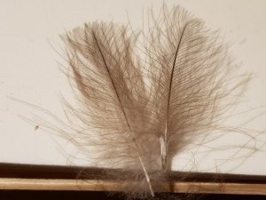 20180814_195344.jpg 20180814_195344.jpg