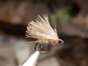 20180814_195647.jpg 20180814_195647.jpg