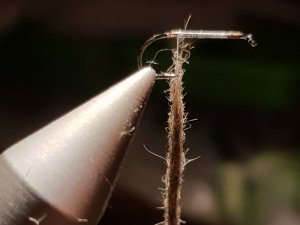 20180814_195110.jpg 20180814_195110.jpg