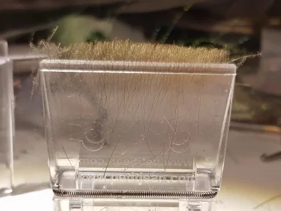 20180815_192519.webp 20180815_192519.webp