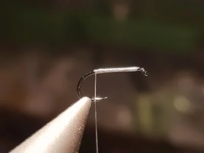 20180815_192207.webp 20180815_192207.webp