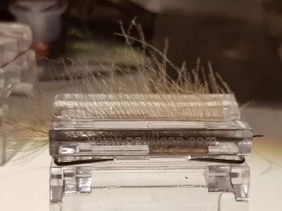 20180815_192315.webp 20180815_192315.webp