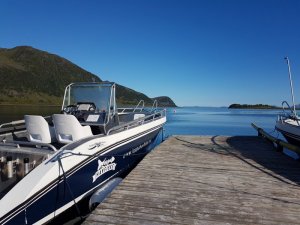 20180816_084804.jpg