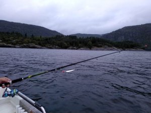 IMG-20180816-WA0015.jpg IMG-20180816-WA0015.jpg