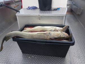 20180816_165252.jpg