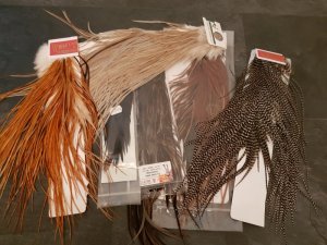 20180818_133325.jpg 20180818_133325.jpg