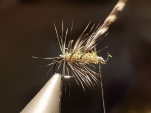 20180818_134836.jpg 20180818_134836.jpg